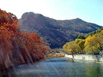 奥门天天开奖免费资料，上海排水板